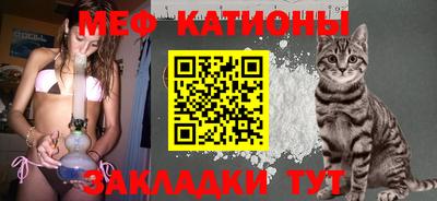 PSILOCYBIN Бийск