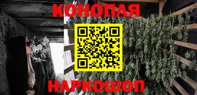 PSILOCYBIN Бийск