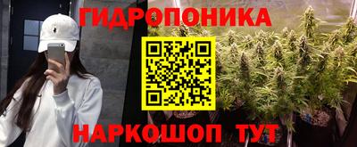 PSILOCYBIN Бийск