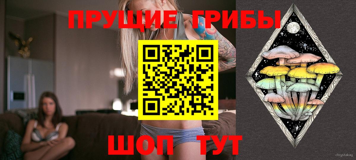 Псилоцибиновые грибы Psilocybe  Вход с VPN  Каспийск 