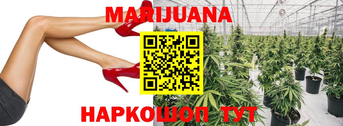 Каннабис сатива  Марихуана гибрид  Канабис гибрид  Вход с VPN  Каспийск 
